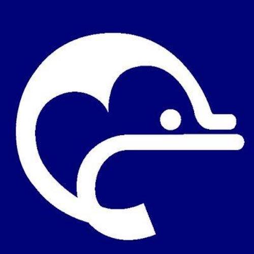Dolphin School