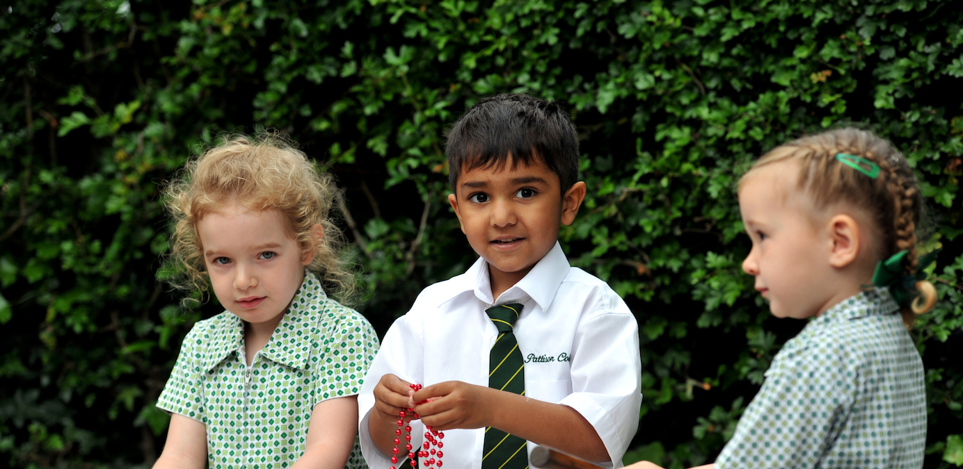Pattison Nursery